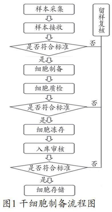 干細(xì)胞實(shí)驗(yàn)室的功能設(shè)計(jì)干細(xì)胞的工作流程
